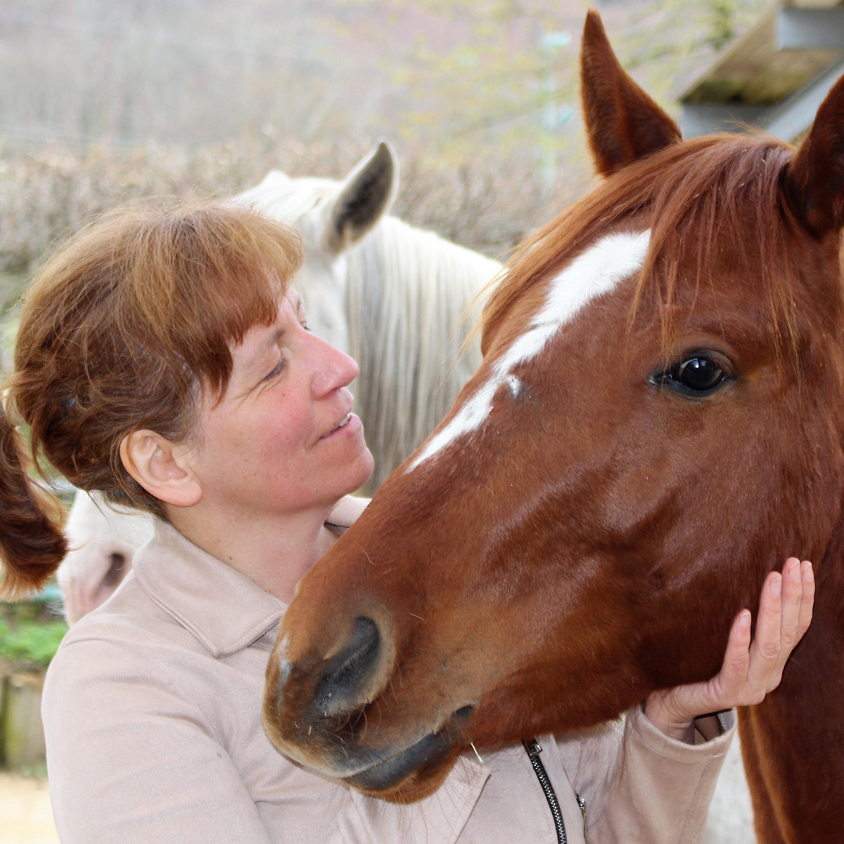 Monika Serina Wilke mit Pferd Profilbild